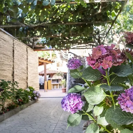 La Natura X6 With Garden And Free Private Parking Villa *