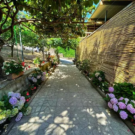 La Natura X6 With Garden And Free Private Parking Sorrento