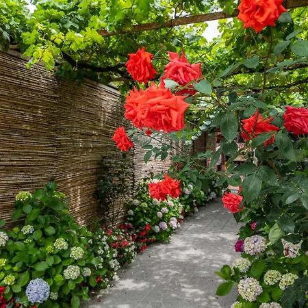 La Natura X6 With Garden And Free Private Parking Villa Sorrento