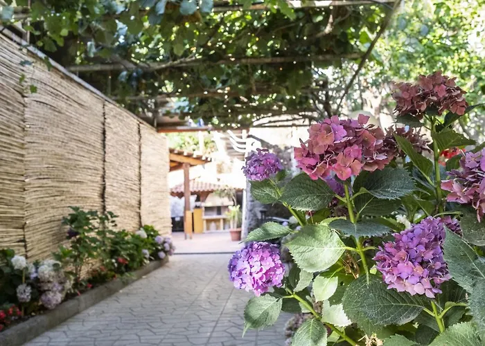 La Natura X6 With Garden And Free Private Parking Vila *