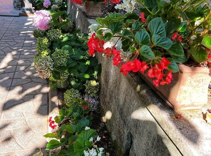 La Natura X6 With Garden And Free Private Parking