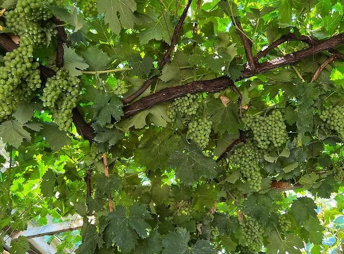 Vila La Natura X6 With Garden And Free Private Parking *