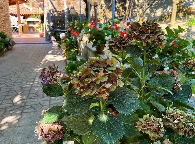 Vila La Natura X6 With Garden And Free Private Parking *