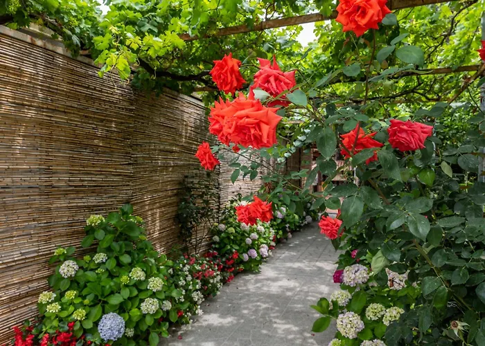 La Natura X6 With Garden And Free Private Parking Vila Sorrento